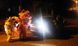 Hải Dương: Nhóm múa lân, chặn đầu ô tô để xin tiền trên cầu Mây khiến nhiều tài xế 'xanh mặt'