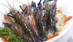 2 bộ phận tưởng bổ của tôm nhưng lại cực độc, có thể gây hại khủng khiếp cho cơ thể