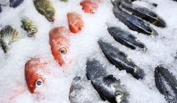 Ăn cá rất bổ dưỡng, nhưng có 3 loại cá này có cho thêm tiền cũng không rước về