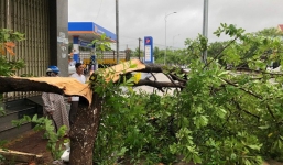 Bão số 6 giật cấp 10 đổ bộ gây mưa lớn ở Quảng Nam - Quảng Ngãi