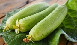 Ăn mướp rất tốt nhưng nếu thấy dấu hiệu này phải bỏ ngay kẻo rước hoạ vào thân