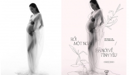 Hồ Ngọc Hà bất ngờ đăng ảnh bụng bầu nét căng trước khi lầm bồn