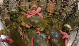 Hải sản nhà giàu rẻ chưa từng có, 500 nghìn có cả mâm 'ngập mặt' tôm hùm