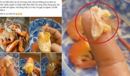 Hội Yêu Bếp chỉ cách nhận biết phân tôm và gạch tôm mà lâu nay nhiều người vẫn lầm tưởng