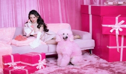 Hậu biến cố tình cảm với Huỳnh Phương, 'ca sĩ chuối' tung bộ ảnh 'đốt mắt' người đối diện