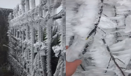 Băng tuyết ở Mẫu Sơn phủ trắng tạo nên một khung cảnh tựa trời Âu