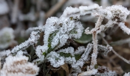 Dân mạng thi nhau chia sẻ hình ảnh băng tuyết phủ trắng xóa đỉnh Phia Oắc - Cao Bằng