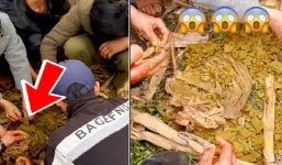 Cả nhóm người chúi đầu tưởng ăn đất chấm muối, lại gần mới thấy món đặc sản còn khó ngửi hơn