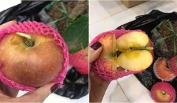 Ham hố mua táo bonsai vừa được ngắm còn được ăn, thanh niên chưa kịp bày Tết đã tơi bời