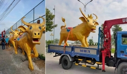 Linh vật Tân Sửu đón Tết xuất hiện với biểu cảm bị 'bế đi cách ly' khiến ai cũng phải bật cười