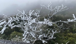 Tuyết đã rơi vào rạng sáng nay, nhiều người muốn lao lên Sapa 'săn' tuyết bất chấp giá lạnh