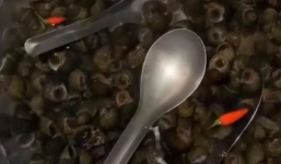 Lên mạng hỏi 'tại sao ngâm ốc phải bỏ đồ inox vào?', chủ thớt nhận loạt câu trả lời 'siêu hại não'