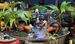 Bonsai dừa tạo hình con giáp năm Tân Sửu tiền triệu vẫn hút khách chơi Tết