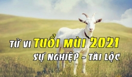 Phạm Xung Thái tuế năm 2021 Tân Sửu, người tuổi Mùi cần làm gì để hoá giải?