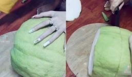 Hạ quả bưởi chưng Tết to bằng nồi cơm điện, cô gái ê chề vì tin lời người bán hàng 