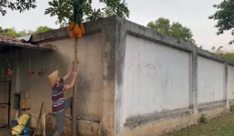 Hoài Linh đội nón lá hái khổ qua, đu đủ trong nhà thờ Tổ để mong 'hết khổ'