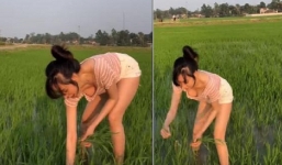 Bà Tưng hoá gái quê khi đi dặm lúa, dân tình chỉ chú ý khoảnh khắc cô cúi người