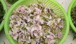 Không chỉ đẹp nao lòng, hoa ban đang bung nở ở Hà Nội còn là món ăn đặc sản gây thương nhớ