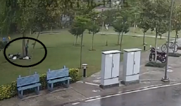 Sét đánh trúng gốc cây, 4 người đàn ông đang trú mưa lần lượt ngã gục xuống đất