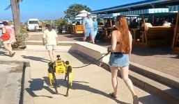 Cô gái dắt 'sinh vật lạ' giá 75.000 USD dạo phố khiến ai cũng phải ngoái nhìn