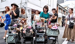 10 sự thật thú vị về đất nước Nhật Bản: Số lượng thú cưng thậm chí còn nhiều hơn số trẻ em