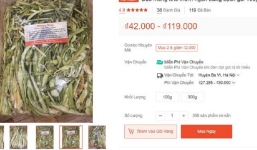 Thứ rau quê mọc đầy bờ ao thành đặc sản nơi phố thị, giá 300k/kg khô vẫn khiến nhiều người mê mẩn