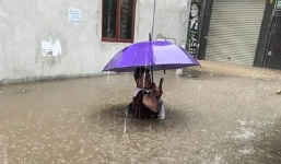 Trận mưa lớn sáng thứ 7 khiến nhiều tuyến phố Hà Nội biến thành sông, nước ngập sâu cả mét