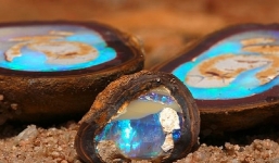 2 anh em đổi đời nhờ tìm thấy thứ đắt gấp 500 lần vàng