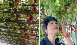 Mẹ đảm Đà Nẵng chia sẻ kinh nghiệm để có vườn rau như siêu thị mini trên sân thượng