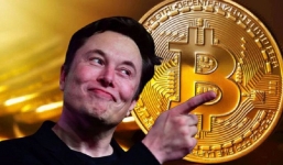 Cú 'lật mặt' của Elon Musk khiến tiền mã hoá bốc hơi 300 tỷ USD, lý do nghe cực kỳ thuyết phục