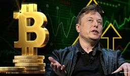 Cú 'lật mặt' của tỷ phú Elon Musk khiến giá Bitcoin sụt xuống mức thấp nhất trong 3 tháng