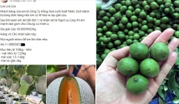 Sấu non đầu mùa rẻ chưa từng có, dân tình kêu gọi giải cứu dưa lưới đại hạ giá