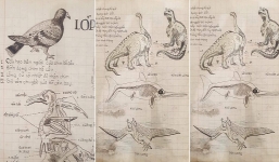 Quyển vở Sinh học lớp 7 cách đây 60 năm trước khiến bao thế hệ học sinh phải bái phục