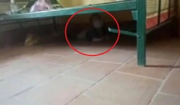 Hình ảnh bé trai sợ hãi trốn dưới gầm giường, không dám khóc trong khu cách ly khiến nhiều người xót xa