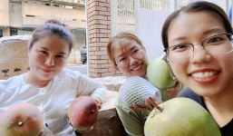 Giá xoài Úc tăng mạnh sau 10 ngày nông dân để xoài tự chín, rụng đầy gốc