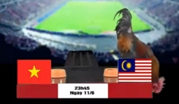ĐT Việt Nam vs Malaysia: 'Gà tiên tri' trổ tài dự đoán kết quả trận đấu 