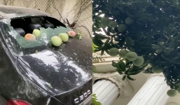 'Xế hộp' tỷ nhà Phượng Chanel đỗ ở nhà cũng 'dính đạn', thủ phạm không ai ngờ tới