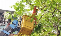 Bảo đảm an toàn cấp điện mùa mưa bão tại Hà Nội: Chủ động các biện pháp ứng phó