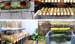 Hướng dẫn làm bể cá kết hợp vườn rau sạch trong không gian sân nhà chật hẹp