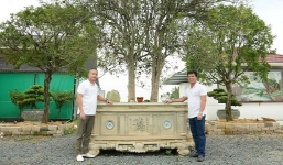 Đem cây mộc hương di sản từ thời Pháp tiền tỷ đổi lấy 1 kie lan đột biến, đại gia Việt Trì mất toi 50 tỷ