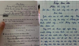 Bài văn tả cây của học sinh lớp 3 khiến mẹ đọc xong chỉ muốn 'độn thổ'