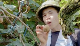 Thanh niên khoe cận cảnh loại cây ăn trái sang chảnh ở Việt Nam nhưng mọc dại đầy đường bên Nhật