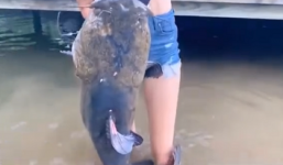 Gái xinh tay không bắt được 'thuỷ quái' khiến tất cả bàng hoàng