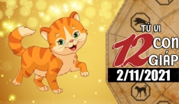 Tử vi hôm nay 3/11/2021: Tuổi Dần đón nhận nhiều tin vui, Tuổi Tuất tránh áp đặt