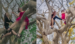  2 gái xinh diện váy ngắn, đi giày cao gót tạo dáng vắt vẻo trên cây khiến dân tình ngán ngẩm