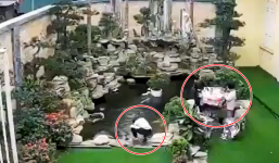 Ngã xuống hồ cá hòn non bộ trong khuôn viên nhà, bé 2 tuổi tử vong thương tâm