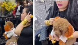 Quý bà đeo vàng kín người, dắt thú cưng 'tâm linh' vào salon khiến tất cả kinh ngạc