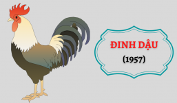 Ngày giờ tốt mở hàng khai xuân, khai trương đầu năm Nhâm Dần 2022 cho gia chủ tuổi Đinh Dậu 1957