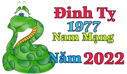 Xem tuổi xông đất Tết Nguyên đán Nhâm Dần cho gia chủ sinh năm Đinh Tỵ 1977
