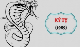 Ngày giờ tốt mở hàng khai xuân, khai trương đầu năm Nhâm Dần 2022 cho gia chủ tuổi Kỷ Tỵ 1989